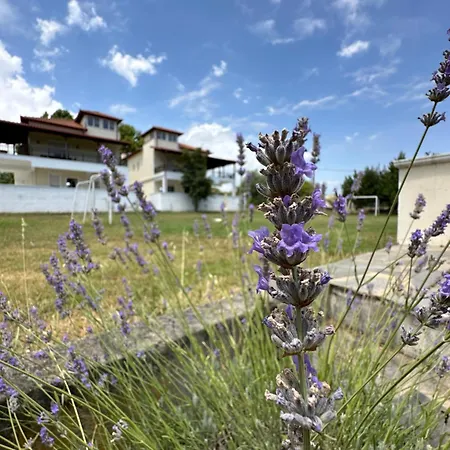 Apartmán Dimeli 2 Litochoro Exteriér fotografie