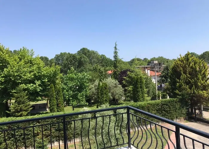 Dimeli 2