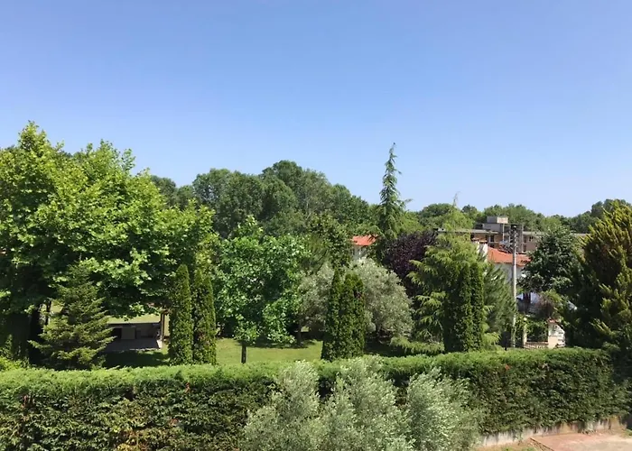 Dimeli 2