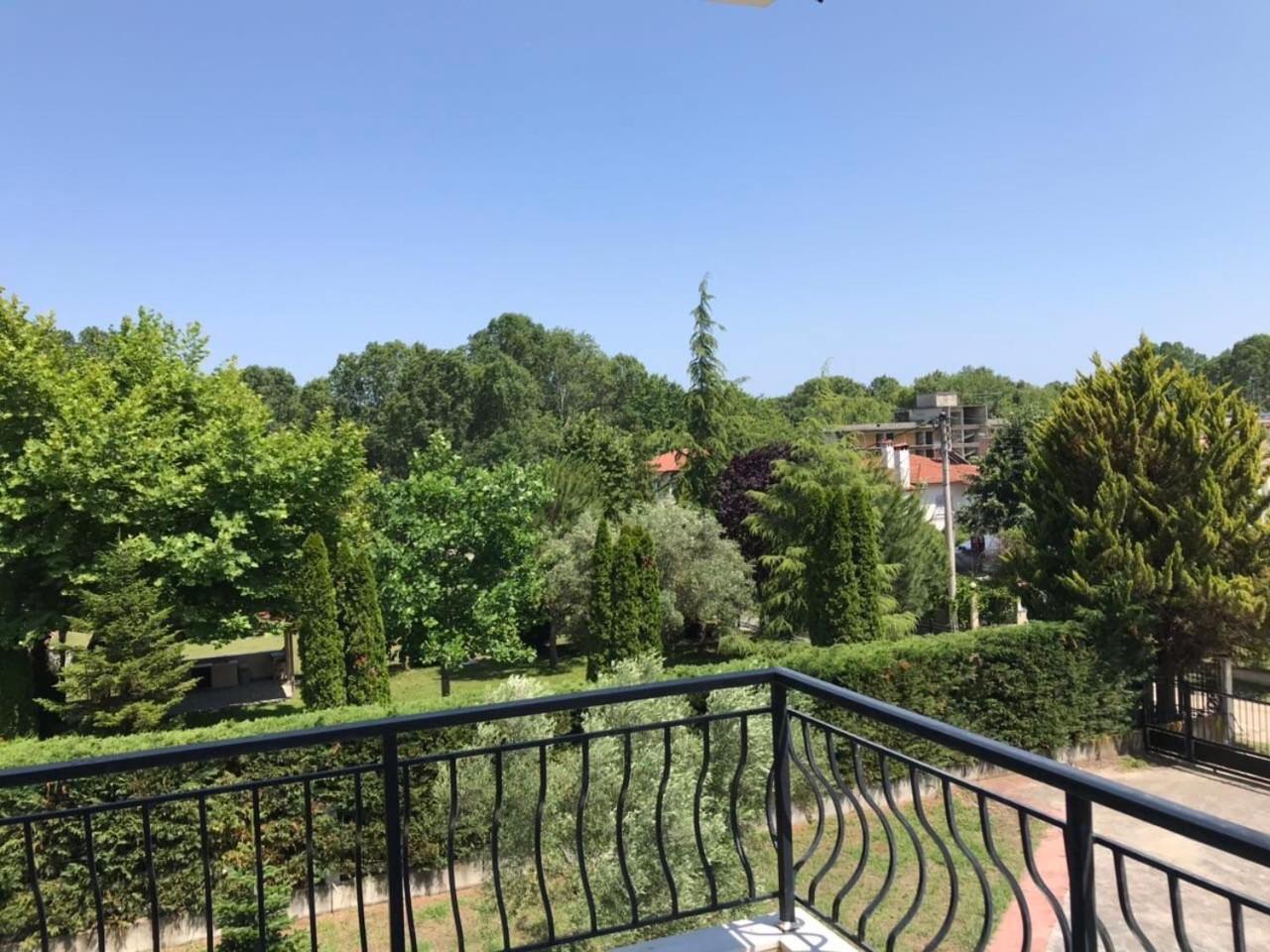 Dimeli 2